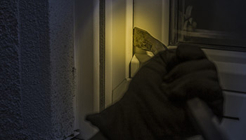 Inbraak Alarmsystemen Inbraak Alarmsystemen